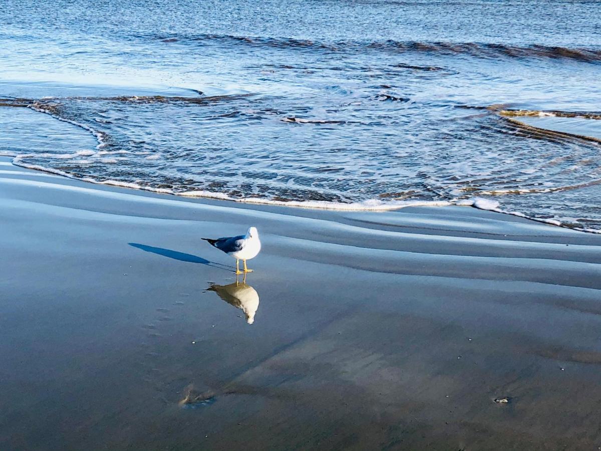 הוילה St. Simons Island Salty Breeze At Demere Landing Unit 168 - Salt Air Dr מראה חיצוני תמונה